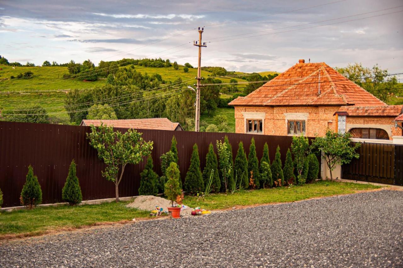 Casa Iancu Hotel Jina Bagian luar foto