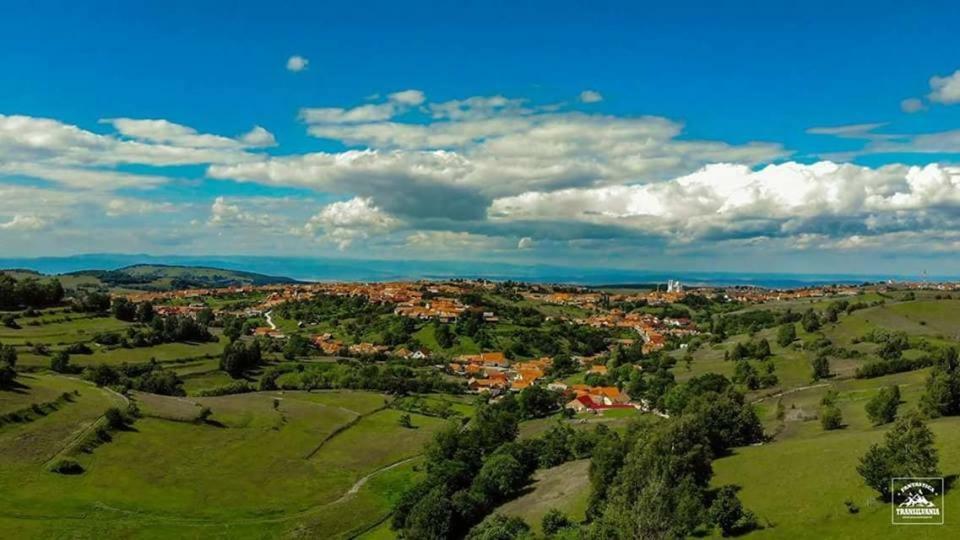 Casa Iancu Hotel Jina Bagian luar foto